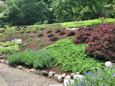 Slope Planting — Landscape Design project by Innovative Garden Design