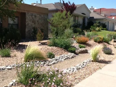 Lush xeriscape — Landscape Design project by Jackie Hall Designs