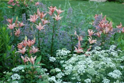 Jay Fain & Associates - Landscape Design in Fairfield, CT