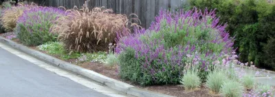 Colorful Parkway — Landscape Design project by Jean Marsh Design