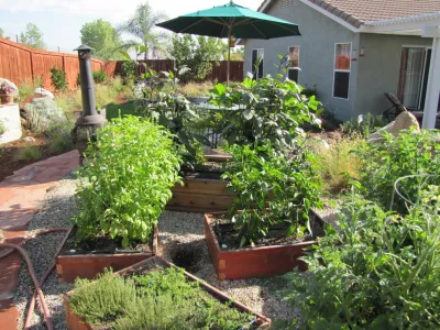 Jean Marsh Design - Landscape Design in Corona, CA