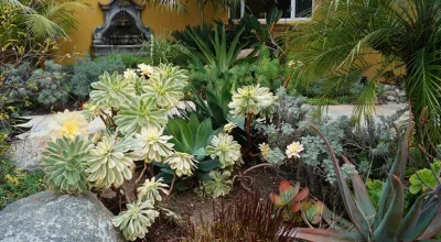 Jean Nordstrom Landscape Design - Landscape Design in Encinitas, CA