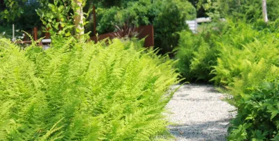 Jenick Studio - Landscape Design in Mashpee, MA