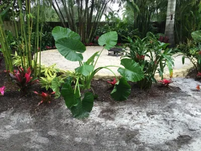 JMJ Landscape, LLC - Landscape Design in Jupiter, FL