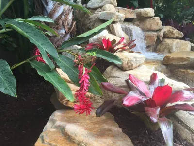 JMJ Landscape, LLC - Landscape Design in Jupiter, FL