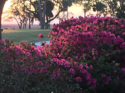 John Glenn Landscapes Inc - Landscape Design in Savannah, GA