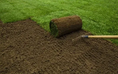 Best Sod Lawn Installation Services Near Me | Roxbury, CT by John Spector Landscape Design