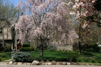Druffel Design & Landscape - Outdoor Lighting Installation in Mainville, OH