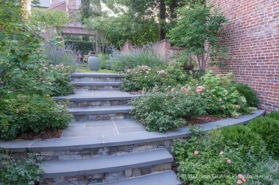 Old Town Alexandria Residence — Landscape Design project by Jordan Honeyman Landscape Architecture, LLC in Alexandria
