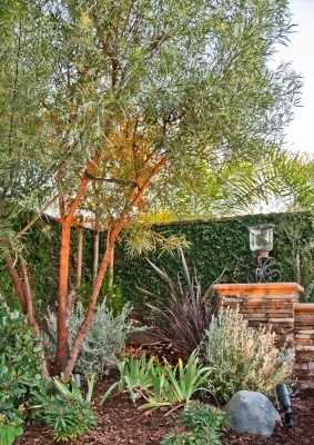 DSLA Design - Garden Remodeling in Yorba Linda, CA