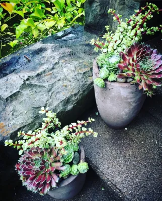 DVA Consulting and Design - Landscape Maintenance in Rodeo, CA