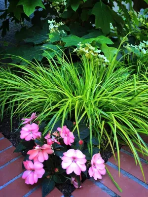 Piedmont Estate Management — Landscape Design project by DVA Consulting And Design