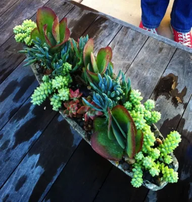DVA Consulting and Design - Landscape Maintenance in Rodeo, CA