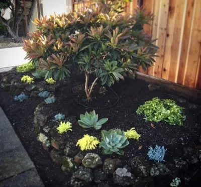 Caroles in Pinole — Landscape Design project by DVA Consulting And Design in Pinole