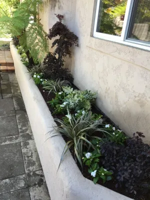 Berkeley Hills — Landscape Design project by DVA Consulting And Design in Berkeley