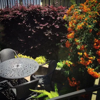 DVA Consulting and Design - Landscape Maintenance in Rodeo, CA