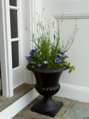 Container Gardens — Landscape Design project by Karen K. Ma Landscape Design Studio LLC