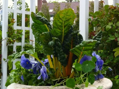 Karen K. Ma Landscape Design Studio LLC - Landscape Design in Norwalk, CT