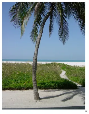 DWY Landscape Architects - Landscape Design in Sarasota, FL