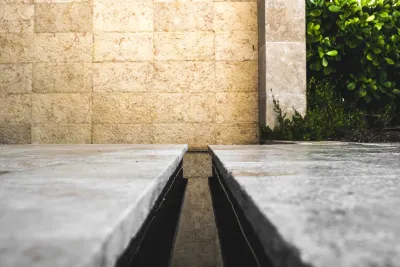 DWY Landscape Architects - Landscape Design in Sarasota, FL