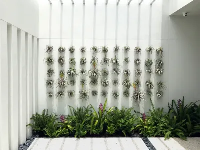 DWY Landscape Architects - Landscape Design in Sarasota, FL