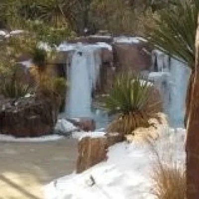 Keller Landscape - Landscape Design in Highlands Ranch, CO