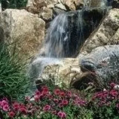 Keller Landscape - Landscape Design in Highlands Ranch, CO