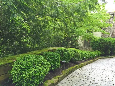 Blue Ridge Mountain Cottage — Landscape Design project by DWY Landscape Architects
