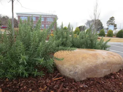 Commercial Plant Design — Landscape Design project by GRC Design Group