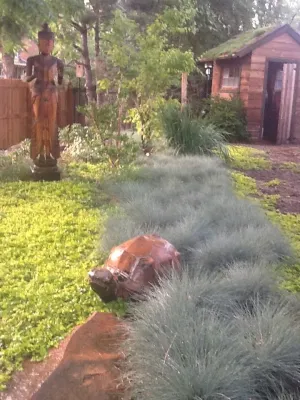 Green by Nature - Landscape Design in Denver, CO