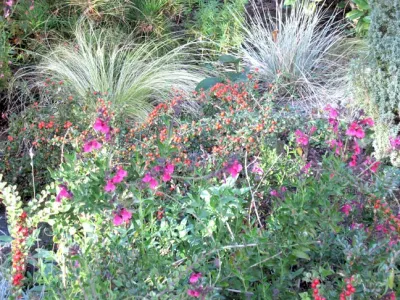 Green Designs - Landscape Design in Boise, ID