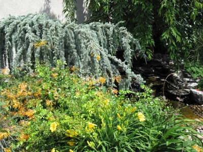 Green Designs - Landscape Design in Boise, ID