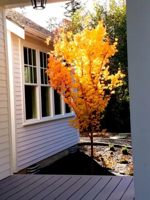 Earth Arrangements Landscape & Design - Garden Remodeling in Bellingham, WA