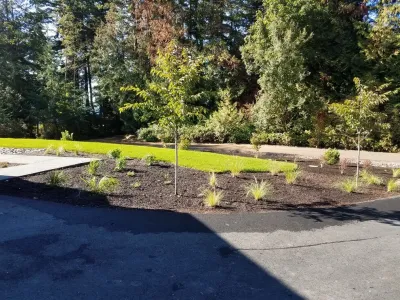 Earth Arrangements Landscape & Design - Garden Remodeling in Bellingham, WA