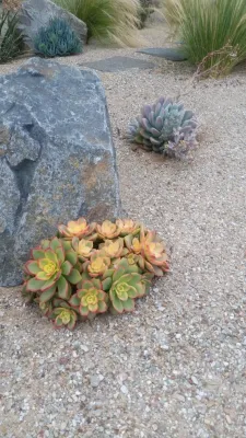 Earth Element Designs - Outdoor Lighting Installation in San Diego, CA