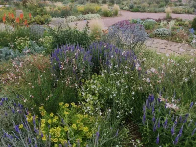 Lauren Springer - Landscape Design in Fort Collins, CO