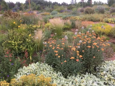 Undaunted Garden at the Gardens on Spring Creek — Landscape Design project by Lauren Springer