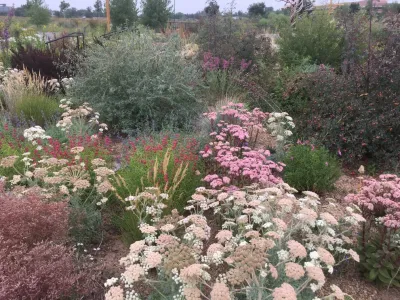 Lauren Springer - Landscape Design in Fort Collins, CO