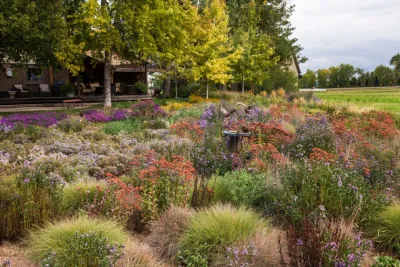 Lauren Springer - Landscape Design in Fort Collins, CO