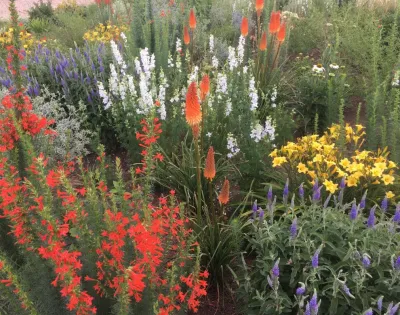 Meadow Garden, northern Colorado — Landscape Design project by Lauren Springer