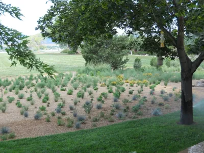 Scripter garden — Landscape Design project by Lauren Springer