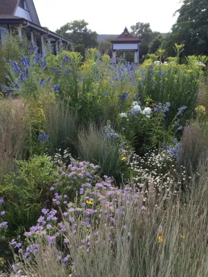 Chatfield Farms Visitors Center Native Plant Gardens — Landscape Design project by Lauren Springer in Denver