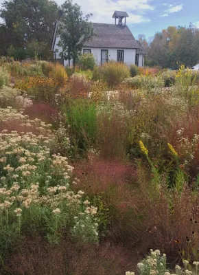 Lauren Springer - Landscape Design in Fort Collins, CO