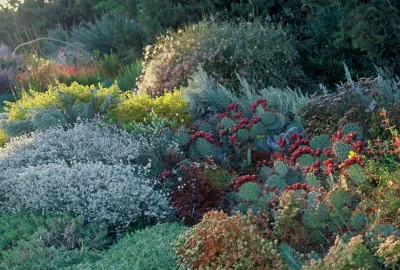 Denver Botanic Gardens WaterSmart Garden — Landscape Design project by Lauren Springer in Denver