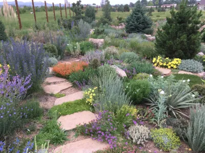 Dryland Rock Garden, northern Colorado — Landscape Design project by Lauren Springer