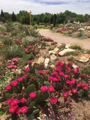 Lauren Springer - Landscape Design in Fort Collins, CO
