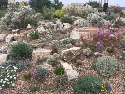 Cactus garden, Undaunted Garden at the Gardens on Spring Creek — Landscape Design project by Lauren Springer