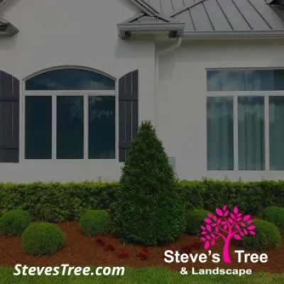 Steve's Tree and Landscape - Tree Planting & Transplanting in Homestead, FL