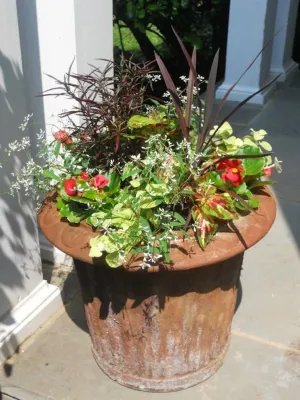 Le Sueur Landscape Design - Landscape Design in 