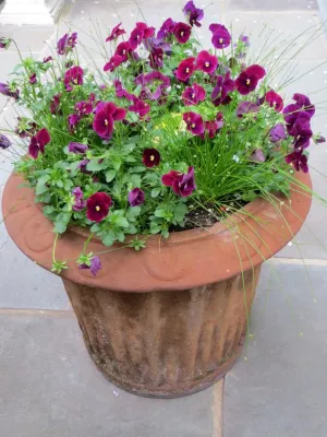 Le Sueur Landscape Design - Landscape Design in 